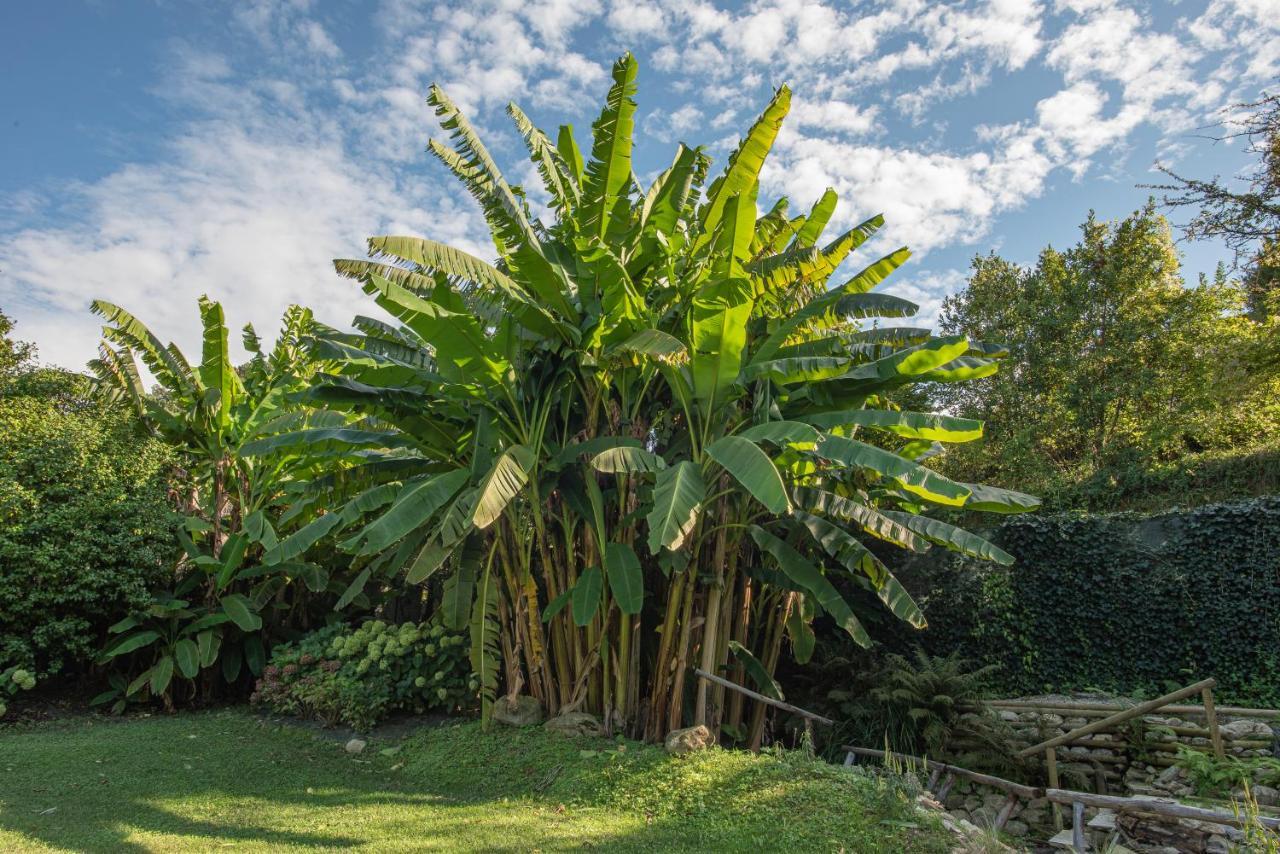 Relais Corte Rodeschi カマイオーレ エクステリア 写真